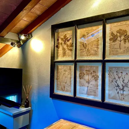 Lejlighed Comfort And Art Parma